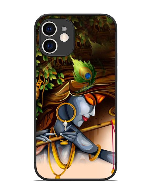 Krishna Glossy Metal Phone Cover for Apple Iphone 12